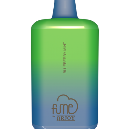 Fume Blueberry Mint 5000 Puffs