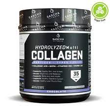 Sascha F Collagen Chocolate 17.28 Oz