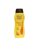Shampoo Cabello