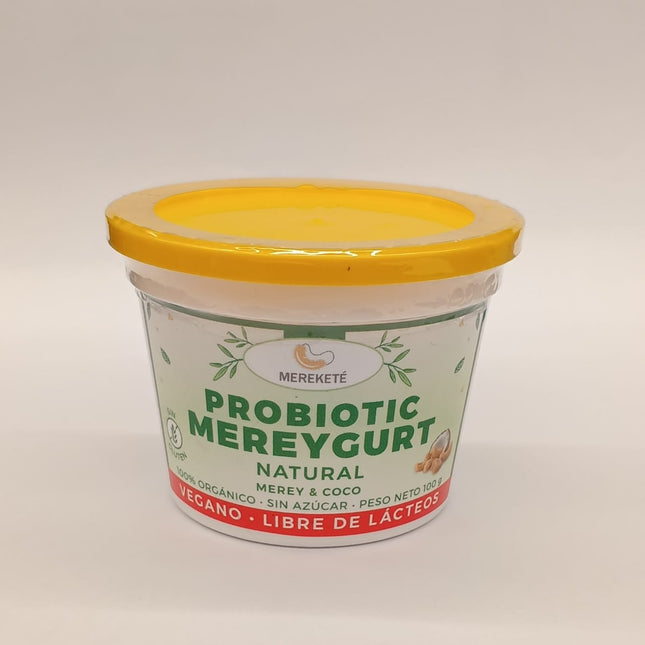 Yogurt de merey y coco natural 110gr