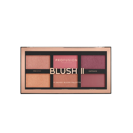 6 ColorBlush Palette Ii