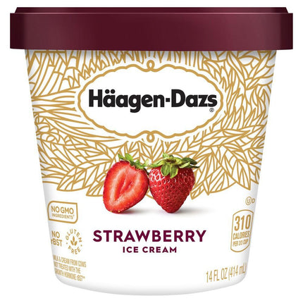 Haagen-Dazs Chocolate Ice Cream - 14 fl oz